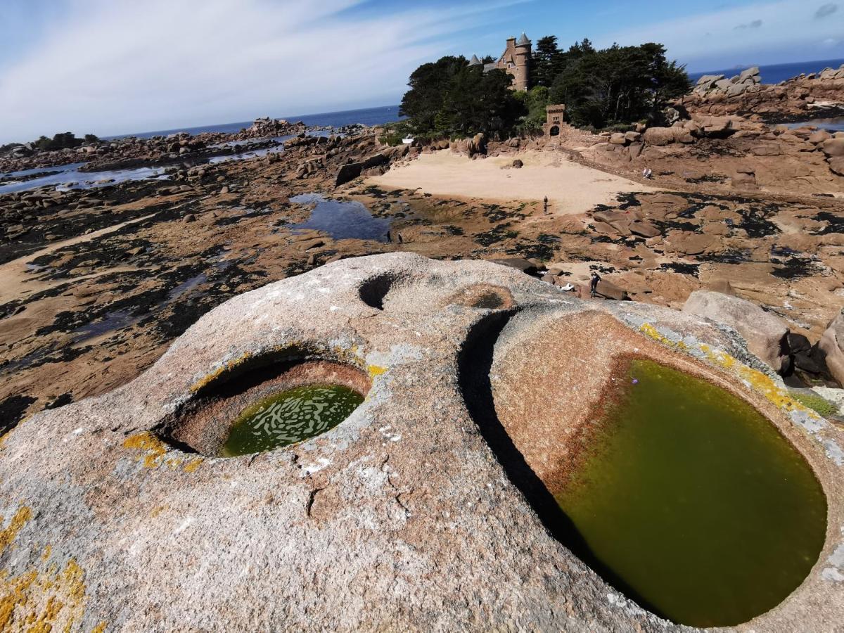 Haut En Couleurs Saint-Quay-Perros ภายนอก รูปภาพ